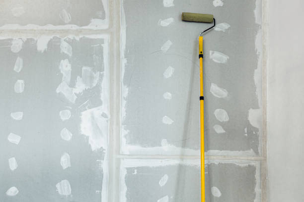 Best Drywall Sanding and Smoothing  in Carnation, WA